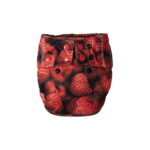 raspberry-aio-os-4-16kg-mommy-mouse