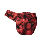 raspberry-aio-os-4-16kg-mommy-mouse