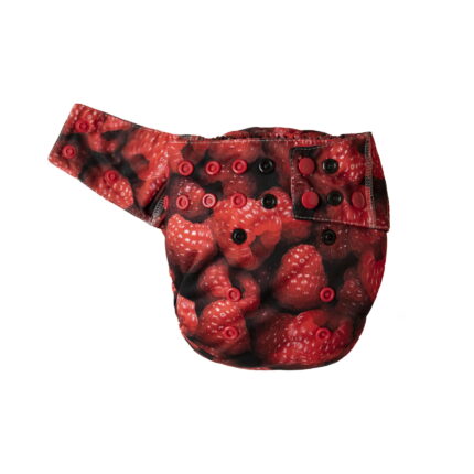 raspberry-aio-os-4-16kg-mommy-mouse